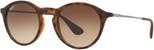 0RB4243 - Brown Gradient Dark Brown